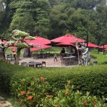 Cafe at Bogor Botanical Gardens Indonesia